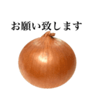 【ビジネス敬語】 国産玉ねぎ（個別スタンプ：12）