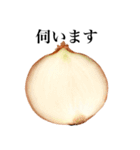 【ビジネス敬語】 国産玉ねぎ（個別スタンプ：17）