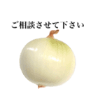 【ビジネス敬語】 国産玉ねぎ（個別スタンプ：18）