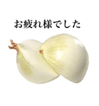 【ビジネス敬語】 国産玉ねぎ（個別スタンプ：19）
