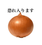 【ビジネス敬語】 国産玉ねぎ（個別スタンプ：20）