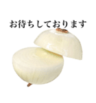 【ビジネス敬語】 国産玉ねぎ（個別スタンプ：21）