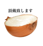 【ビジネス敬語】 国産玉ねぎ（個別スタンプ：24）