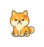 柴犬ワンワンStampシリーズno.5/2025（個別スタンプ：3）