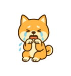 柴犬ワンワンStampシリーズno.5/2025（個別スタンプ：5）