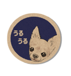 クラフトシール風チワワ（個別スタンプ：14）