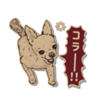 クラフトシール風チワワ（個別スタンプ：38）