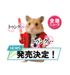 推し活ハムさん(赤担、レッド担)（個別スタンプ：21）