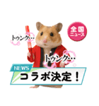 推し活ハムさん(赤担、レッド担)（個別スタンプ：22）