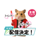 推し活ハムさん(赤担、レッド担)（個別スタンプ：23）