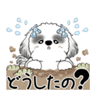 B＆Wシーズー「気遣いする側？される側？」（個別スタンプ：1）