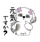 B＆Wシーズー「気遣いする側？される側？」（個別スタンプ：2）