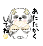 B＆Wシーズー「気遣いする側？される側？」（個別スタンプ：3）