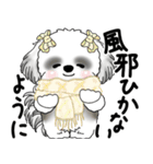 B＆Wシーズー「気遣いする側？される側？」（個別スタンプ：4）