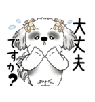 B＆Wシーズー「気遣いする側？される側？」（個別スタンプ：5）