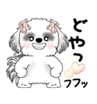 B＆Wシーズー「気遣いする側？される側？」（個別スタンプ：7）