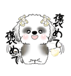 B＆Wシーズー「気遣いする側？される側？」（個別スタンプ：8）