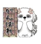 B＆Wシーズー「気遣いする側？される側？」（個別スタンプ：9）