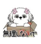 B＆Wシーズー「気遣いする側？される側？」（個別スタンプ：10）