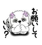 B＆Wシーズー「気遣いする側？される側？」（個別スタンプ：11）