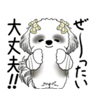 B＆Wシーズー「気遣いする側？される側？」（個別スタンプ：14）