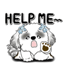 B＆Wシーズー「気遣いする側？される側？」（個別スタンプ：16）