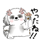 B＆Wシーズー「気遣いする側？される側？」（個別スタンプ：18）