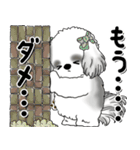 B＆Wシーズー「気遣いする側？される側？」（個別スタンプ：19）