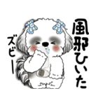 B＆Wシーズー「気遣いする側？される側？」（個別スタンプ：20）