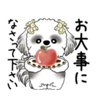 B＆Wシーズー「気遣いする側？される側？」（個別スタンプ：21）