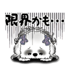 B＆Wシーズー「気遣いする側？される側？」（個別スタンプ：23）