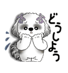 B＆Wシーズー「気遣いする側？される側？」（個別スタンプ：24）