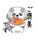 B＆Wシーズー「気遣いする側？される側？」（個別スタンプ：25）