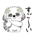 B＆Wシーズー「気遣いする側？される側？」（個別スタンプ：26）