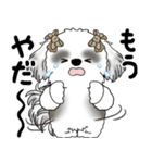 B＆Wシーズー「気遣いする側？される側？」（個別スタンプ：27）