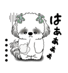 B＆Wシーズー「気遣いする側？される側？」（個別スタンプ：28）