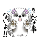 B＆Wシーズー「気遣いする側？される側？」（個別スタンプ：29）