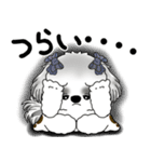 B＆Wシーズー「気遣いする側？される側？」（個別スタンプ：32）