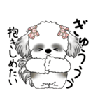 B＆Wシーズー「気遣いする側？される側？」（個別スタンプ：33）