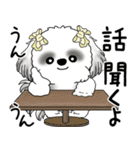 B＆Wシーズー「気遣いする側？される側？」（個別スタンプ：34）