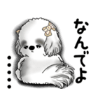 B＆Wシーズー「気遣いする側？される側？」（個別スタンプ：36）