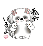 B＆Wシーズー「気遣いする側？される側？」（個別スタンプ：38）