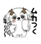 B＆Wシーズー「気遣いする側？される側？」（個別スタンプ：39）