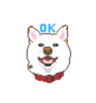 白柴犬ドット絵スタンプ（個別スタンプ：1）
