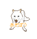 白柴犬ドット絵スタンプ（個別スタンプ：2）