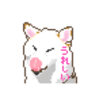 白柴犬ドット絵スタンプ（個別スタンプ：3）