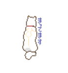 白柴犬ドット絵スタンプ（個別スタンプ：8）