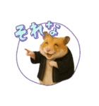 推し活ハムさん(黒担)（個別スタンプ：5）