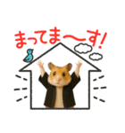 推し活ハムさん(黒担)（個別スタンプ：8）