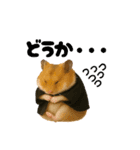 推し活ハムさん(黒担)（個別スタンプ：9）